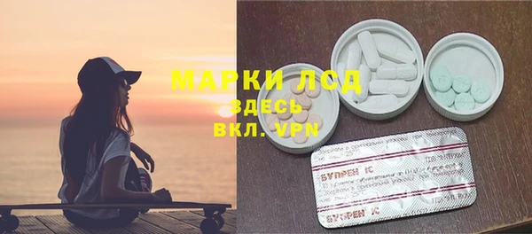 дживик Елабуга