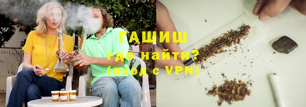 СК Елизово
