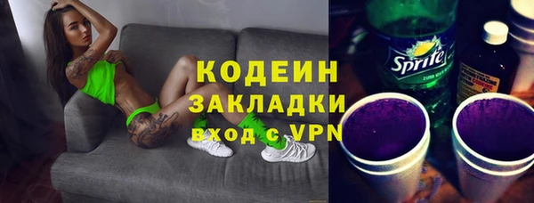 СК Елизово