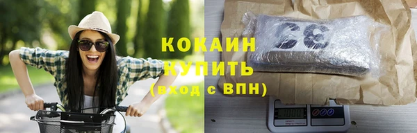 СК Елизово
