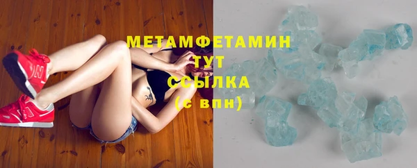 амф Ельня
