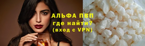 амф Ельня