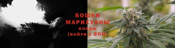 дживик Елабуга