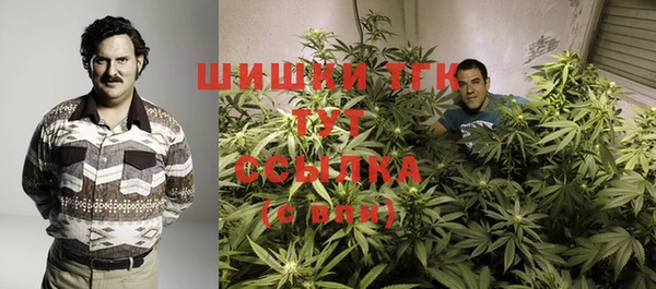 амф Ельня