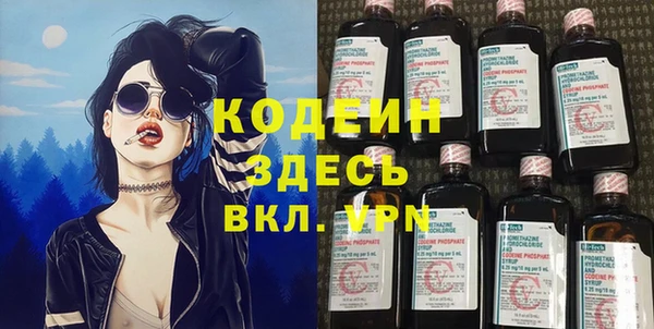 СК Елизово
