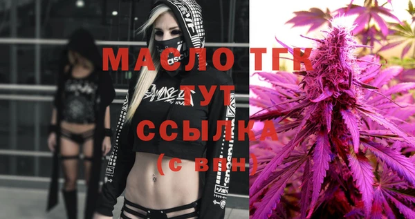 амф Ельня