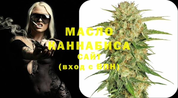 амф Ельня