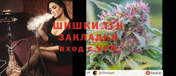 амф Ельня