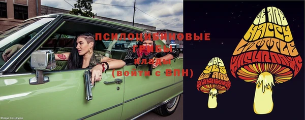 дживик Елабуга